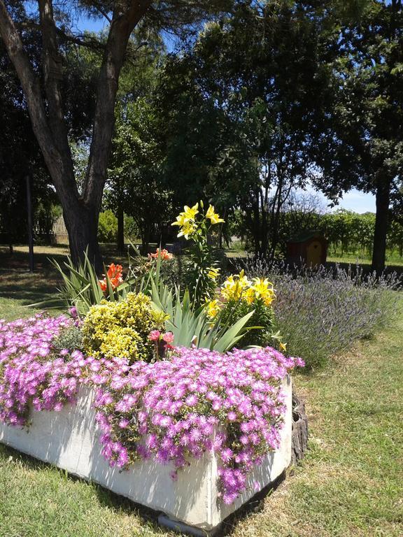 فيلا كوماكيوفي Valle Rillo Agriturismo المظهر الخارجي الصورة