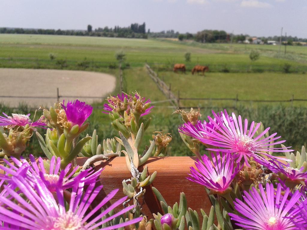 فيلا كوماكيوفي Valle Rillo Agriturismo المظهر الخارجي الصورة
