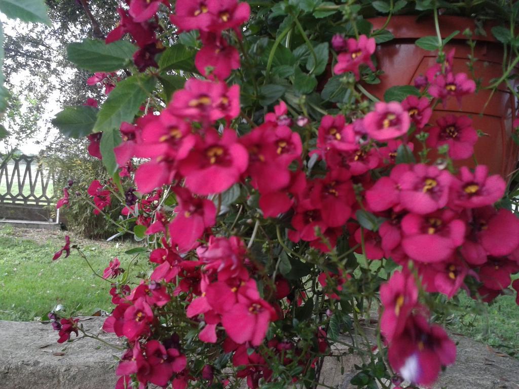 فيلا كوماكيوفي Valle Rillo Agriturismo المظهر الخارجي الصورة