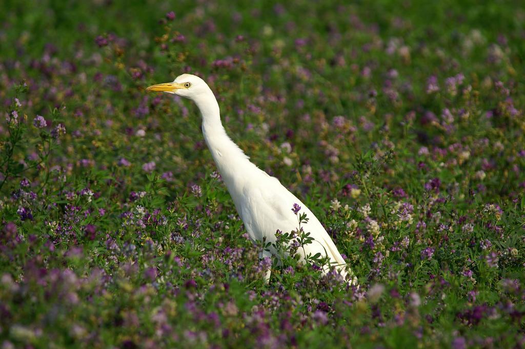 فيلا كوماكيوفي Valle Rillo Agriturismo المظهر الخارجي الصورة