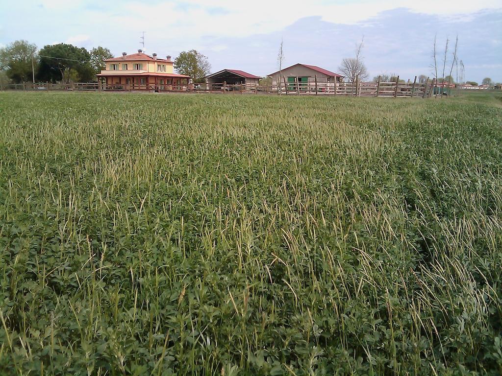 فيلا كوماكيوفي Valle Rillo Agriturismo المظهر الخارجي الصورة