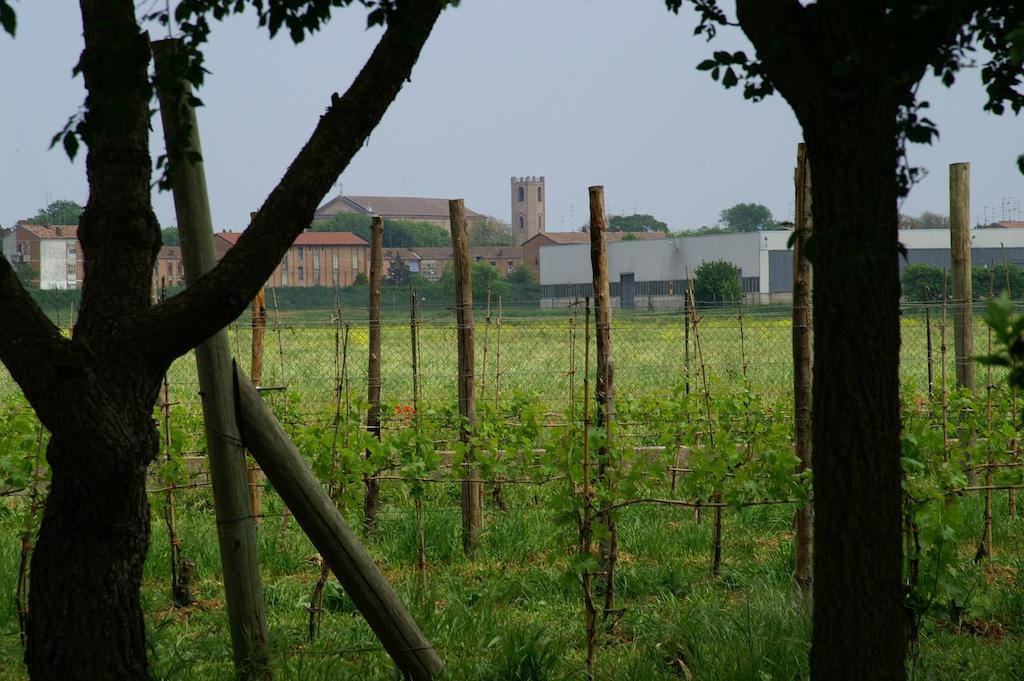 فيلا كوماكيوفي Valle Rillo Agriturismo المظهر الخارجي الصورة