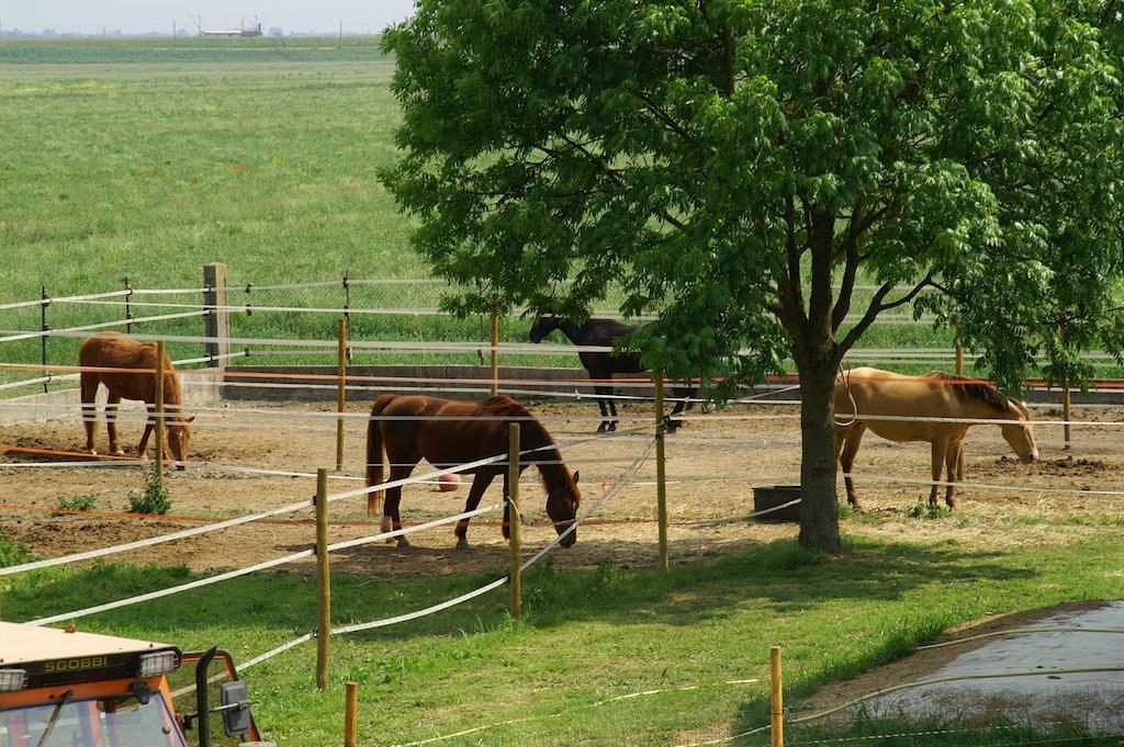 فيلا كوماكيوفي Valle Rillo Agriturismo المظهر الخارجي الصورة