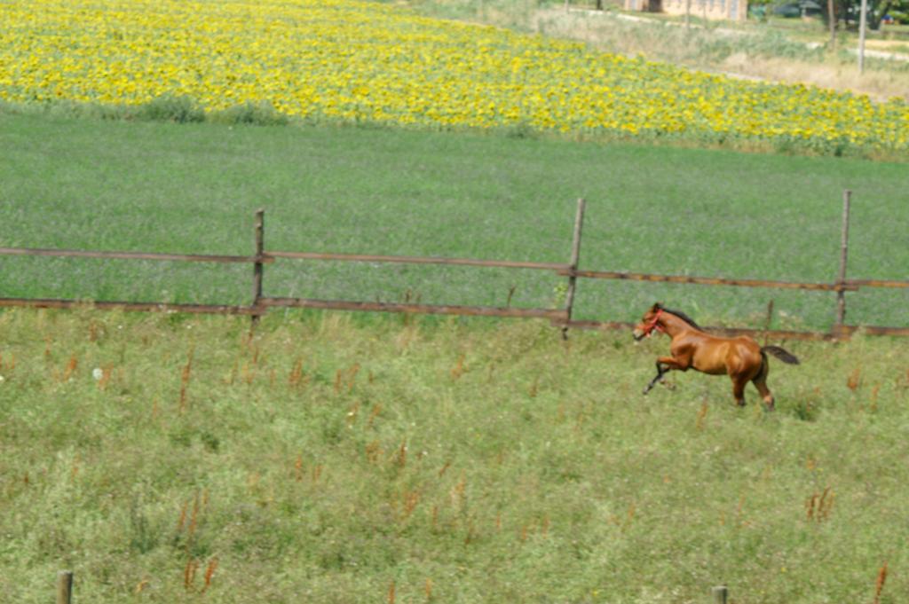 فيلا كوماكيوفي Valle Rillo Agriturismo المظهر الخارجي الصورة